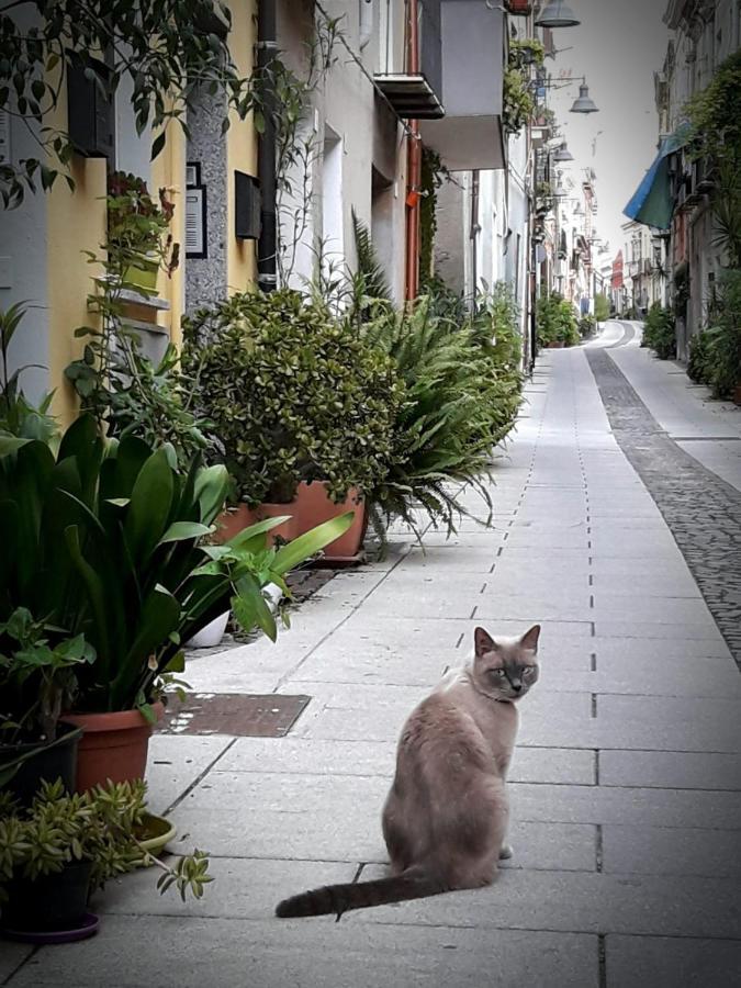 Via San Giacomo 10 Cagliari Bagian luar foto